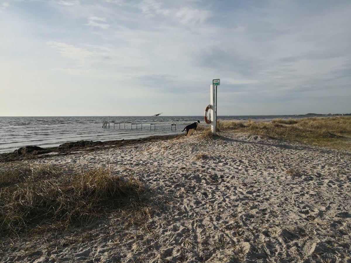 Hotel Spurvereden Ved Vandet Greve Exteriér fotografie